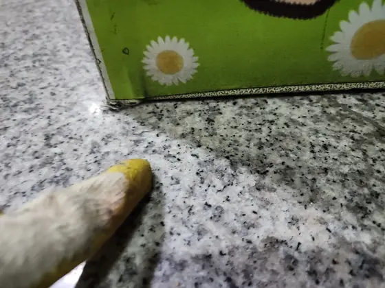 현관문 처짐 조절 — 바닥과 떨어진 문 아래